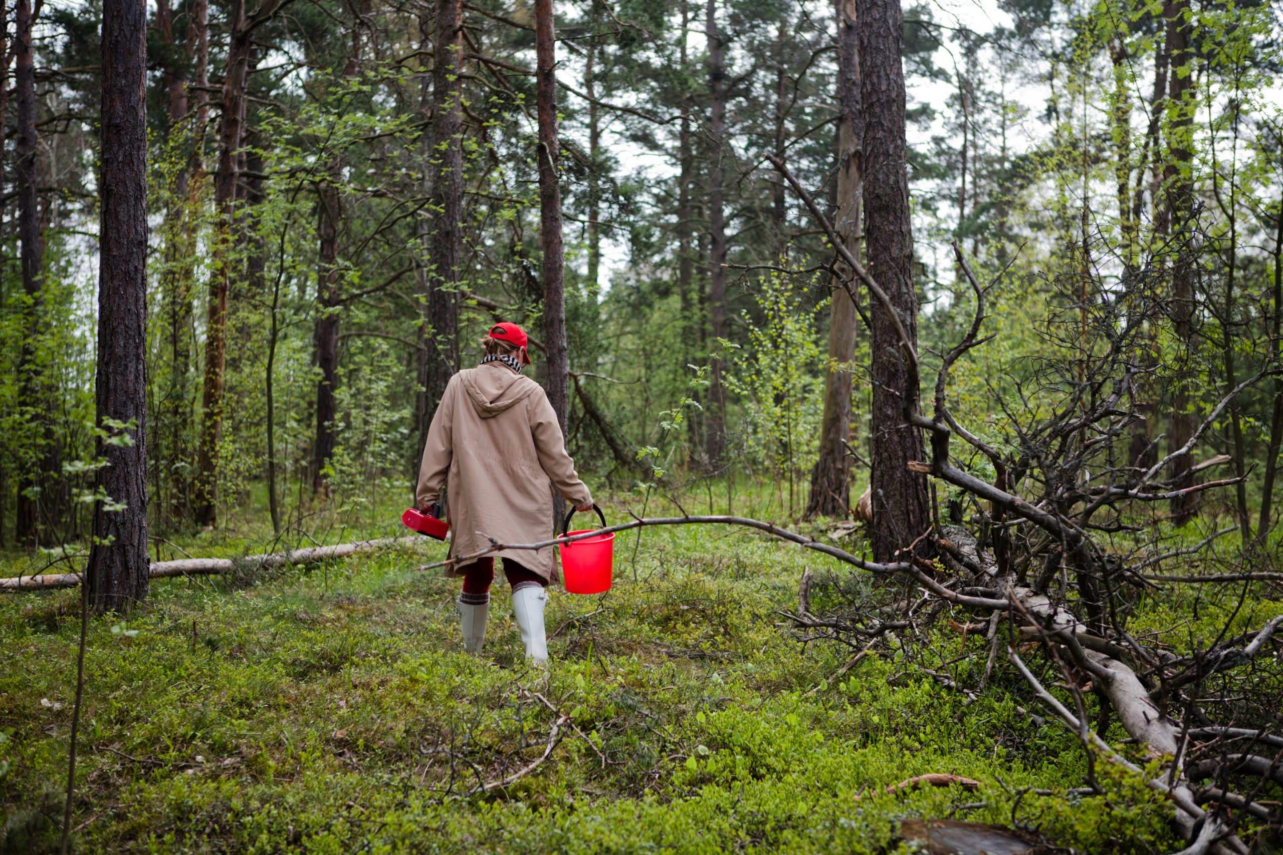 YLÖS, ULOS JA METSÄÄN