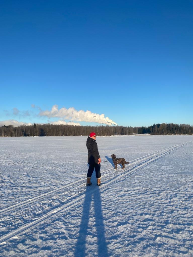 Terveyttä, työtä ja turvallisuutta